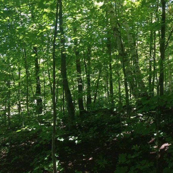 Meet your Posher, Tamara - Picture 1 of 1